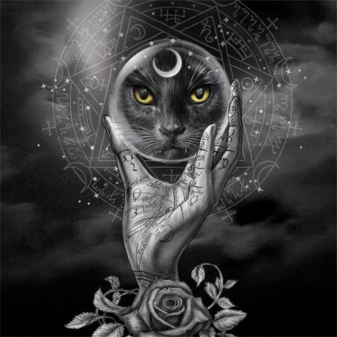 Alchemy Grimalkins Glass Dell Inspiron Skin